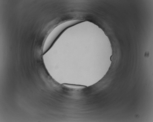 X0000115790288200912241838