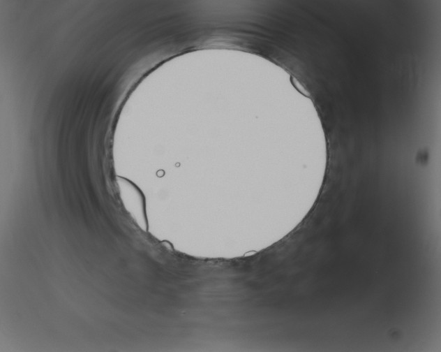 X0000115790289200912241837