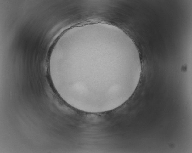 X0000115790290200912241837