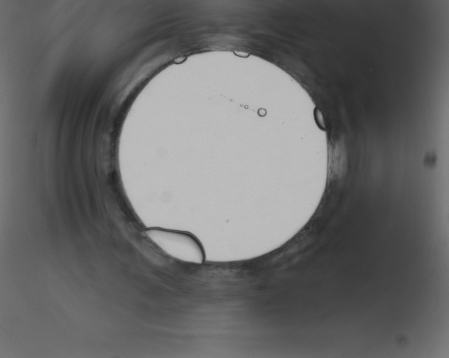 X0000115790291200912241837