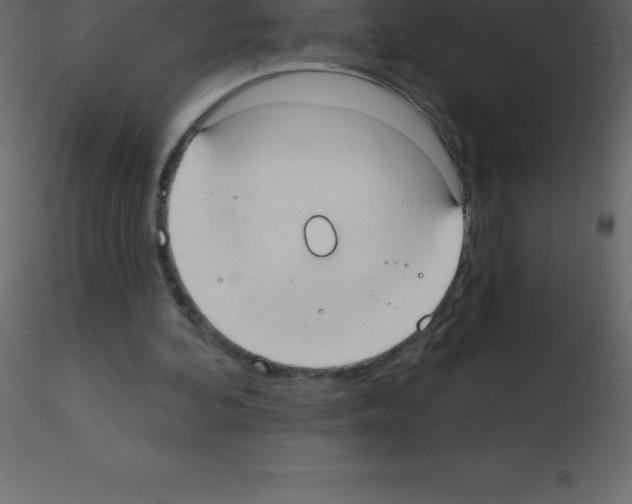 X0000115790292200912241837