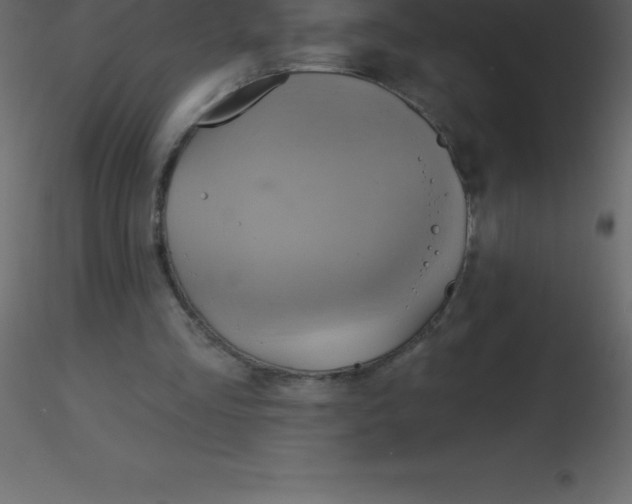 X0000115790293200912241837