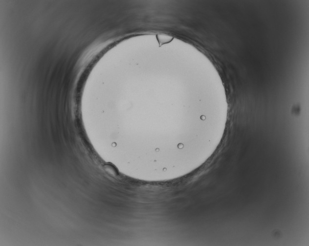 X0000115790294200912241837