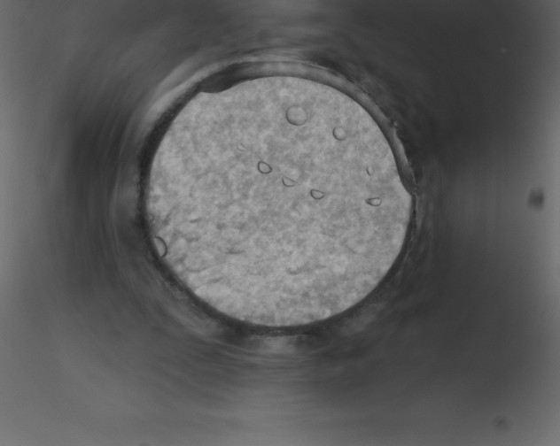 X0000115790295200912241837