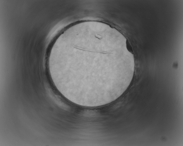 X0000115790296200912241837