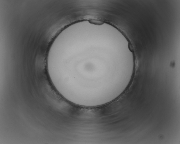 X0000115790297200912241837