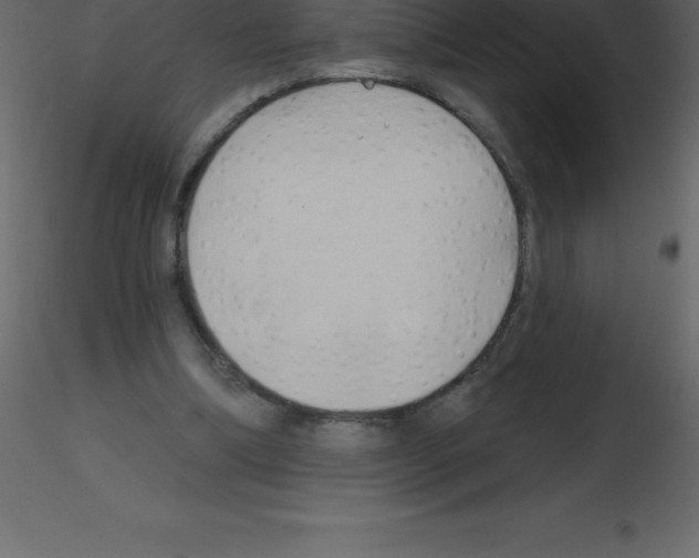 X0000115790298200912241837