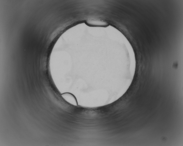 X0000115790299200912241837