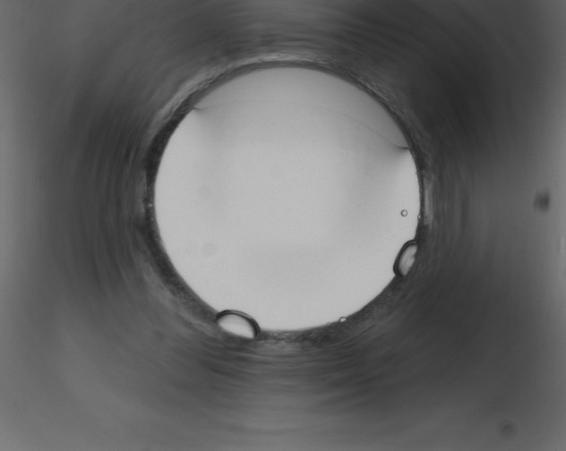 X0000115790300200912241837