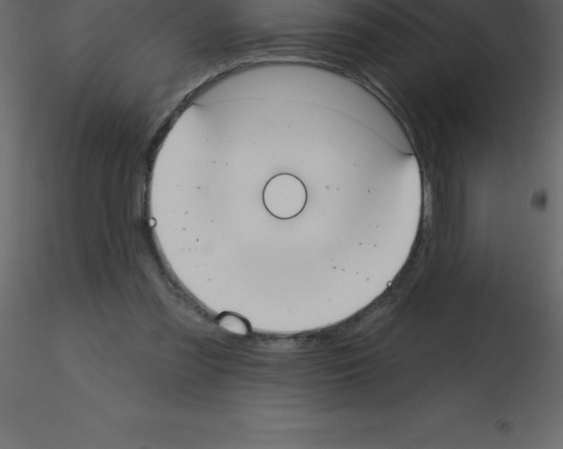X0000115790301200912241837