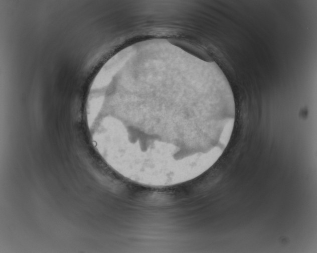 X0000115790303200912241837