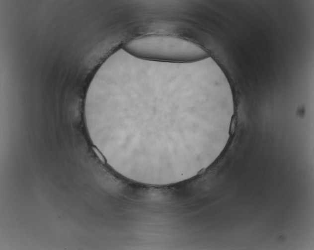 X0000115790305200912241837