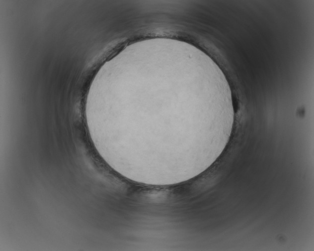 X0000115790306200912241837