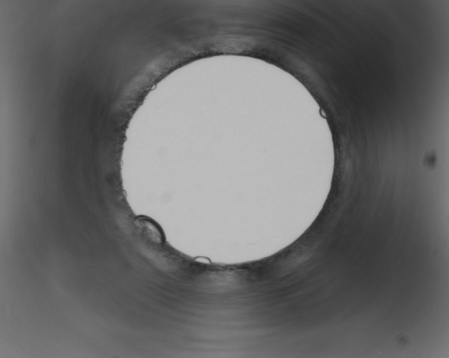 X0000115790307200912241837