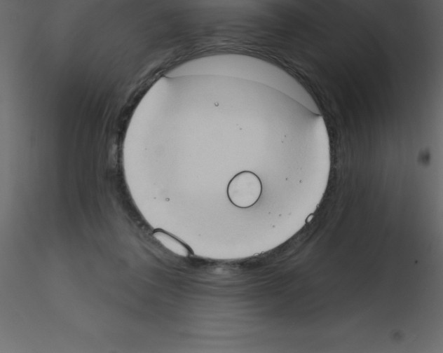 X0000115790308200912241837