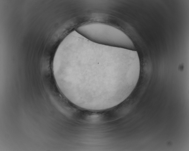 X0000115790312200912241837