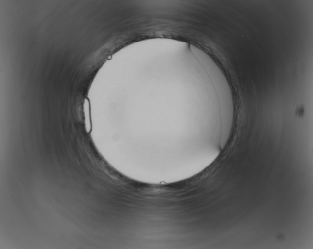 X0000115790313200912241837