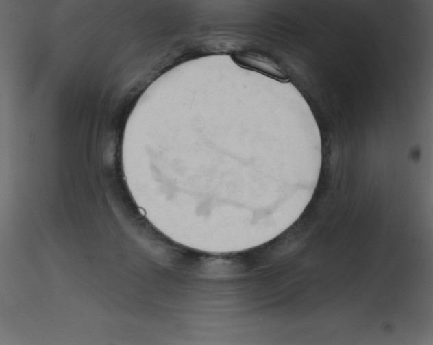 X0000115790315200912241837
