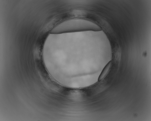 X0000115790316200912241837
