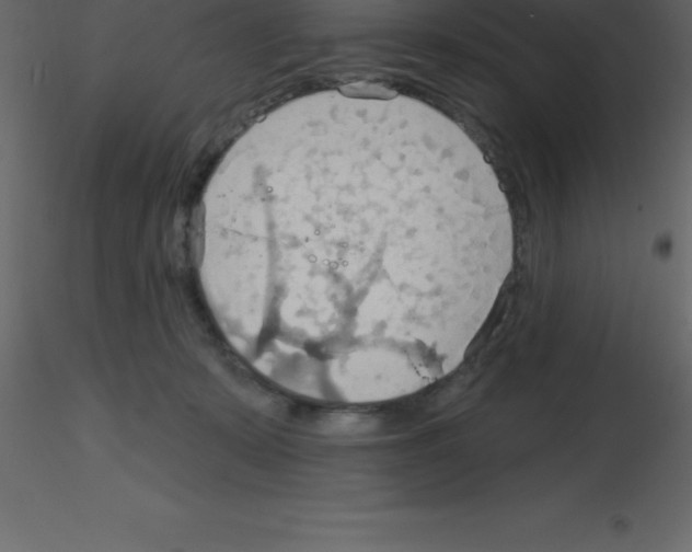 X0000115790319200912241837