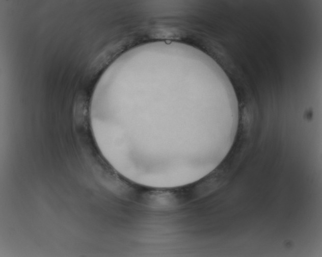 X0000115790322200912241837