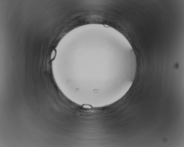 X0000115790323200912241837