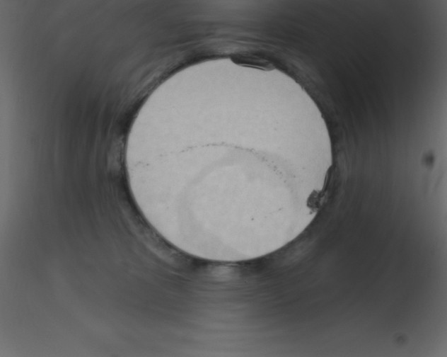 X0000115790325200912241837
