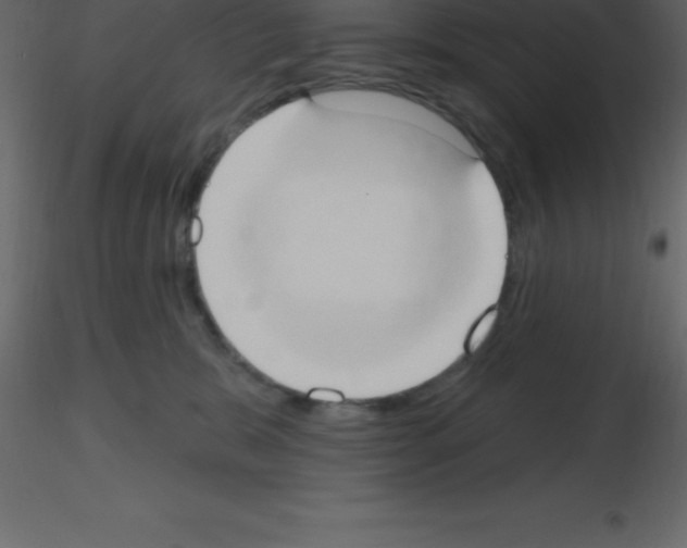 X0000115790327200912241837