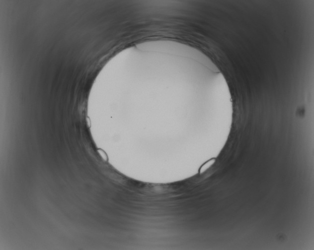 X0000115790329200912241837