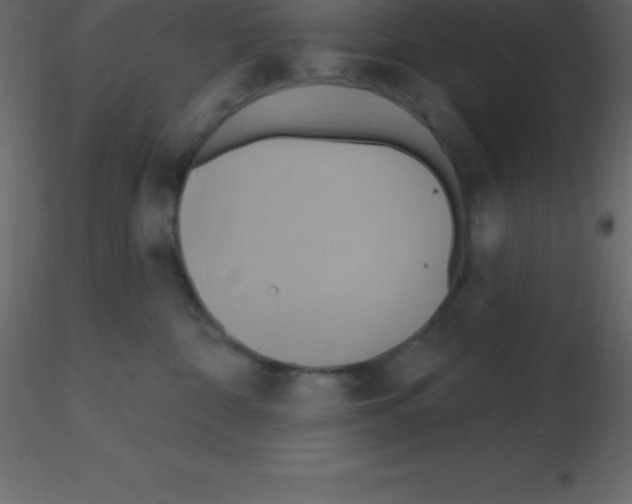 X0000115790332200912241837
