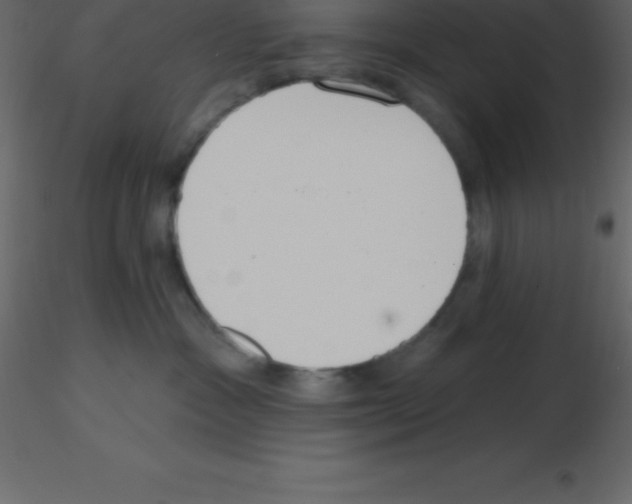X0000115790333200912241837