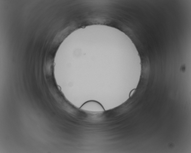 X0000115790334200912241837