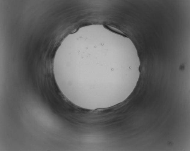 X0000115790335200912241837