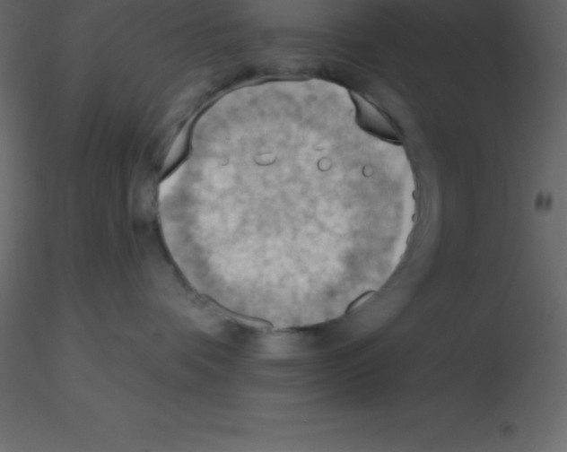 X0000115790336200912241837