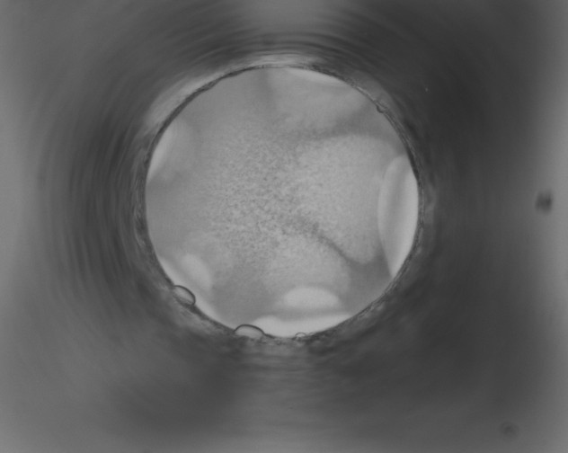 X0000115790337200912241836