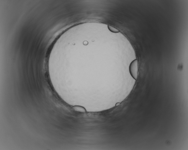 X0000115790338200912241836