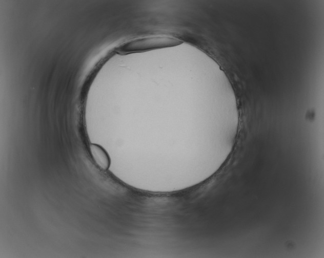 X0000115790342200912241836