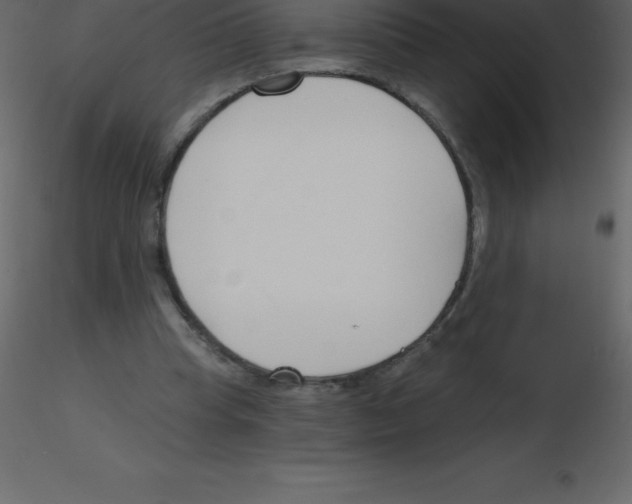 X0000115790345200912241836