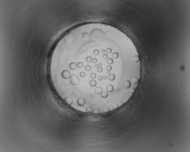 X0000115790346200912241836