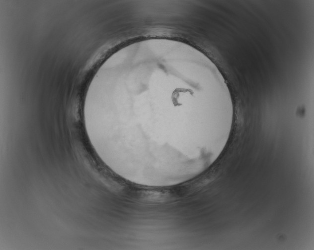 X0000115790347200912241836