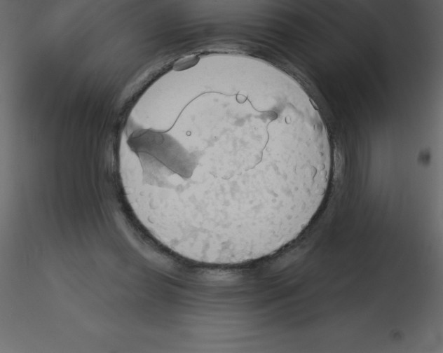 X0000115790349200912241836