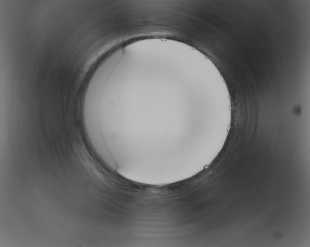 X0000115790350200912241836