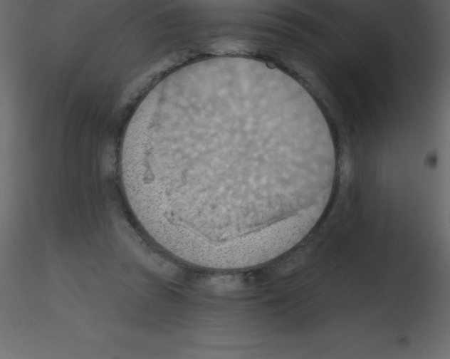 X0000115790353200912241836