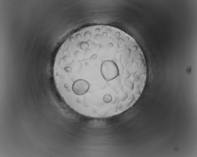 X0000115790354200912241836