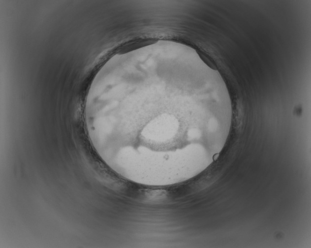 X0000115790355200912241836