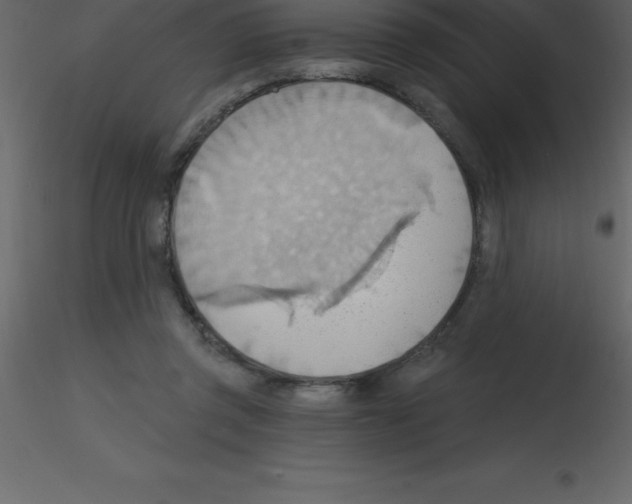 X0000115790357200912241836