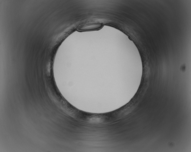 X0000115790358200912241836