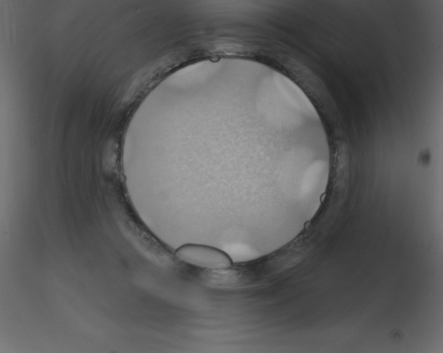 X0000115790361200912241836