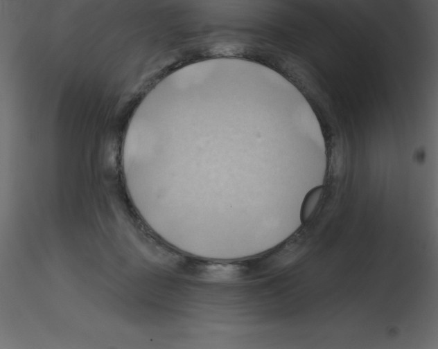 X0000115790363200912241836