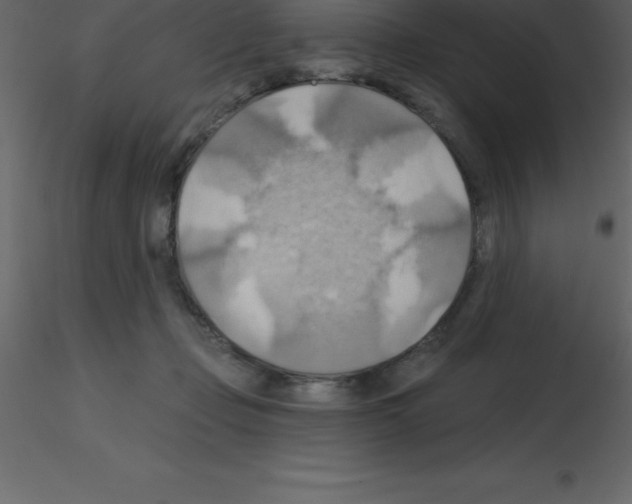 X0000115790365200912241836